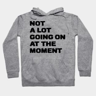 not a lot going on at the moment Hoodie